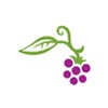 Alekhya Mulberry