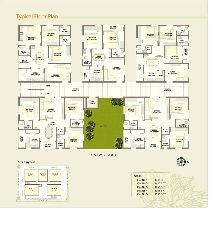 Alekhya Crossandra, Hyderabad - Alekhya Crossandra