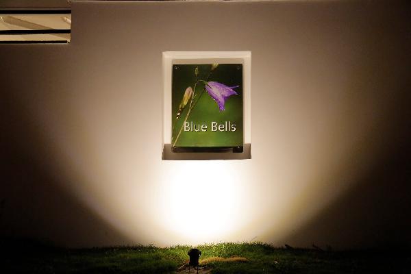 alekhya Blue Bells, Hyderabad - alekhya Blue Bells