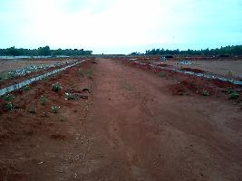 Vani Arow Win City