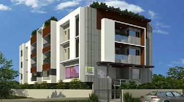 Ongoing Projects