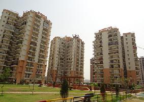 Gaursons Gaur Grandeur