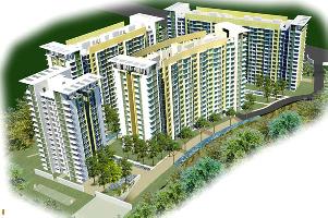 Ongoing Projects