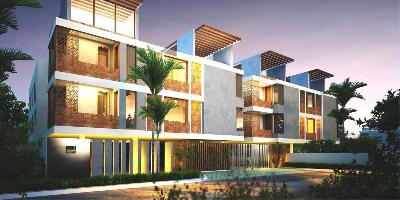 Bhoomi Cotton Tree