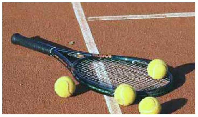 Shri Radha Florence, Vrindavan - 2 BHK & 3 BHK Apartments