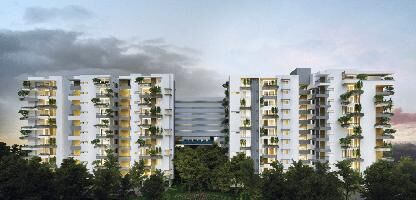 Manbhum Around the Grove