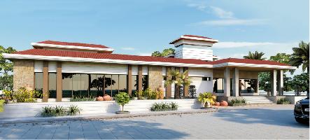 Earth Casa Greens