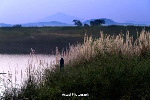 Clover Windermere, Pune - Clover Windermere