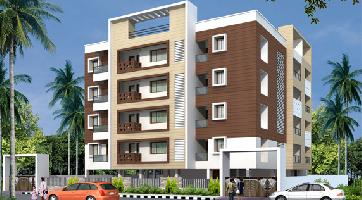 Ongoing Projects
