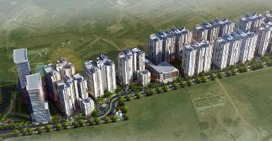 Ongoing Projects
