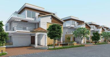 Ongoing Projects