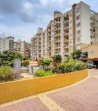 Ready to Move