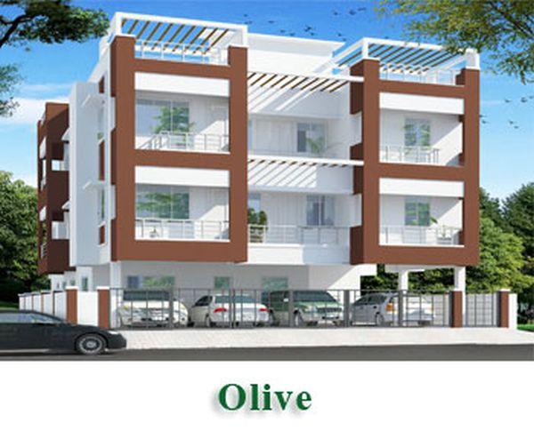 ACE Olive, Chennai - ACE Olive