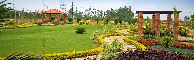 Dhammanagi Tulips Garden