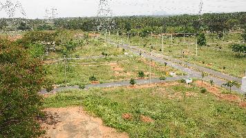 Habitat Greens