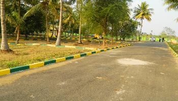 Ready to Move