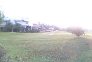 Magnolia Gardens