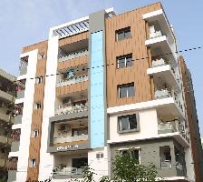 Pavan Meadows