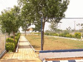 Surabhi Chandrakanta Infinity