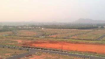 Ajmal Flora Valley Plots