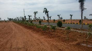 Avigna Fortune County
