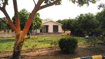 Avigna Avigna