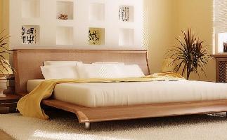 Deoasis The Silver Olive