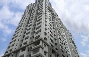 Ready to Move