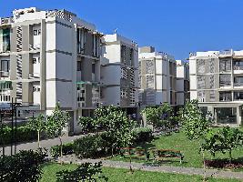 JBR Residency