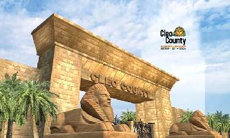 Ongoing Projects