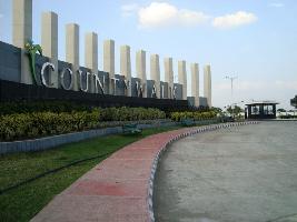 Aarone County Walk