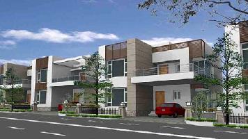 Ongoing Projects