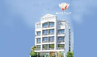 SPS White Tulip