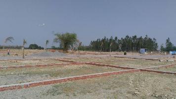 ATS AVP Avenue Park 4