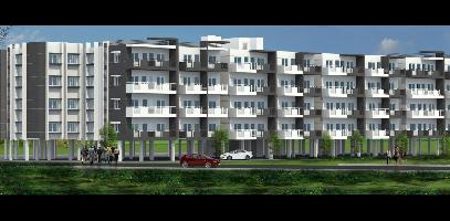 Ongoing Projects