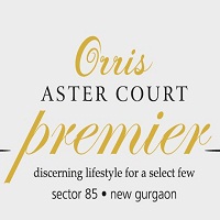 Orris Aster Court Premier