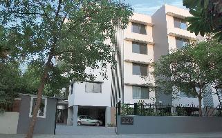 Amaya 229