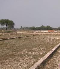 Ongoing Projects