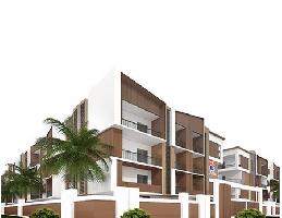 Ongoing Projects