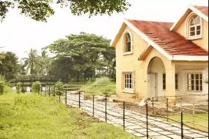 Capricorn Grove
