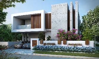 Ongoing Projects