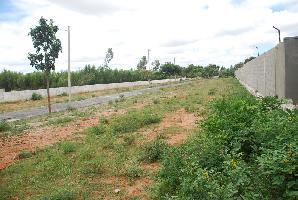 7 Hills JCR Enclave