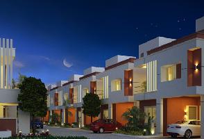 Kapis Golden Sands