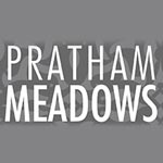 Pratham Meadows Villas