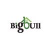 Big Bull Shyam City