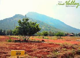 Sizzle Nandi Valley