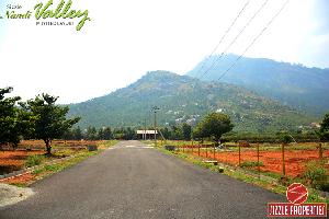 Sizzle Nandi Valley
