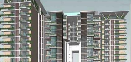 Ongoing Projects