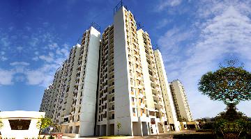 TATA New Haven
