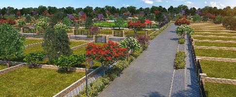 Central Park Mikasa Plots